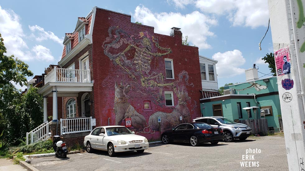 Downtown Carytown