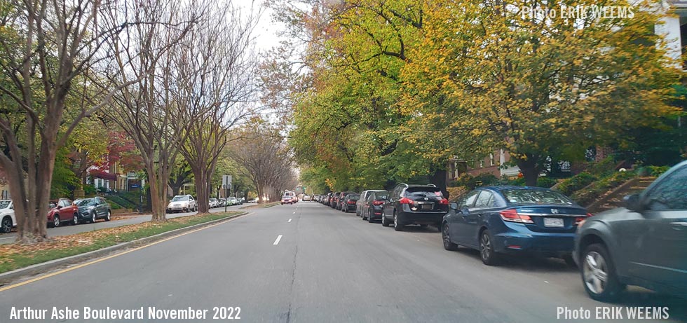 Autumn leaves on Arthur Ashe Boulevard in Richmond Virginia Autumn leaves on Arthur Ashe Boulevard in Richmond Virginia